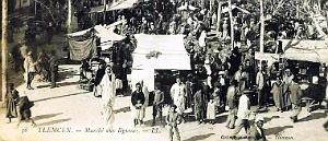 680- Tlemcen - Marche aux legumes2